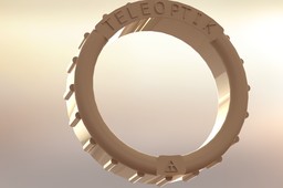 pressure gauge protector