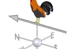 Rooster