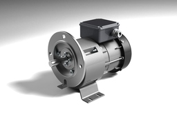 electric motor