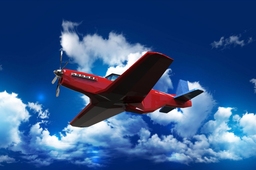 P51 mustang