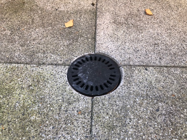 Compact floor drain