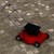Tiny