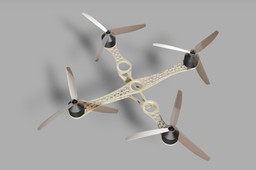 BONES STRUCTURE QUADCOPTER