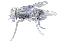 Mod Mosca V.01