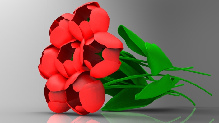 Bouquet of Tulips