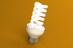 Compact Fluorescent Lamp (CFL)