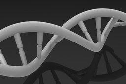DNA Strand
