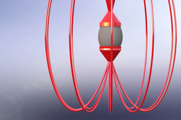 Egg Spring Shield