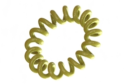 Continuous Spiral Spring on Circular Path