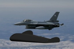 Delta Wing Aircraft...