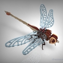 Dragon Fly Wood Craft Puzzle