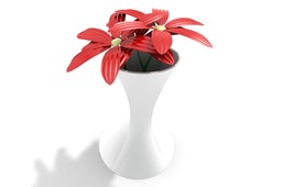 Ceramic vase