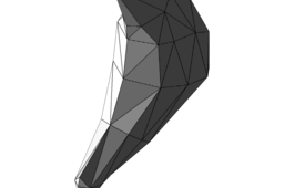 POLYGONAL CHICKEN