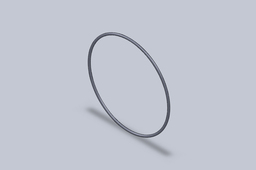 O-ring