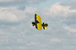 Lazy Bee extented wings
