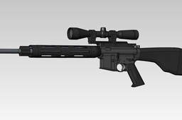 AR-15 Flat top rifle