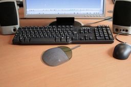 Mouse