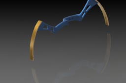 Modern Compound Bow