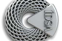the Loop of Innovation - IDSA Lapel Pin