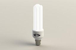 Light Bulb