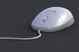 Mouse