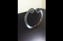 Circlip