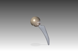 Total Hip Replacement Parts Assembled 