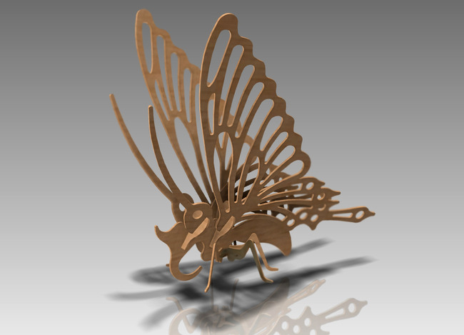 butterfly