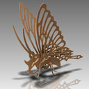 butterfly
