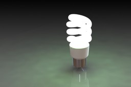 CFL Light Bulb