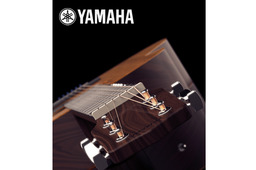 Acoustic Guitar
