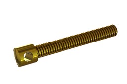 Screw