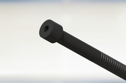 Socket Cap Screw