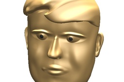 Face