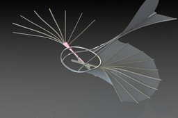 Lilienthal glider