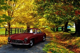 Mercedes Benz 300 SL 1950 Gullwing