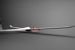 Glider DG-1000