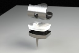 Knee Implant
