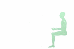 Human template
