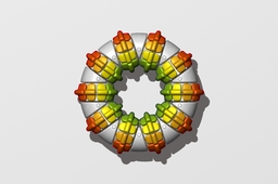 Torus puzzle