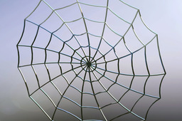 Web Cob