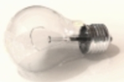 Bulb