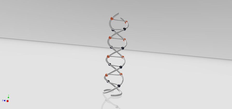 structura adn dna structure 3d cad