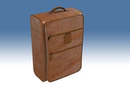 Suitcase Leather.ics
