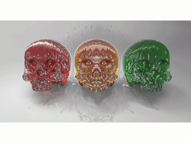 Solid Part Skull