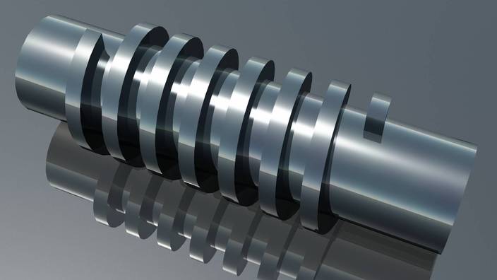 Worm gear