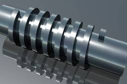 Worm gear