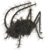 Tiny