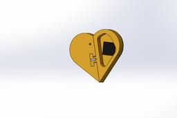 "Illusionist" locket
