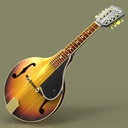 Gibson A4 Mandolin